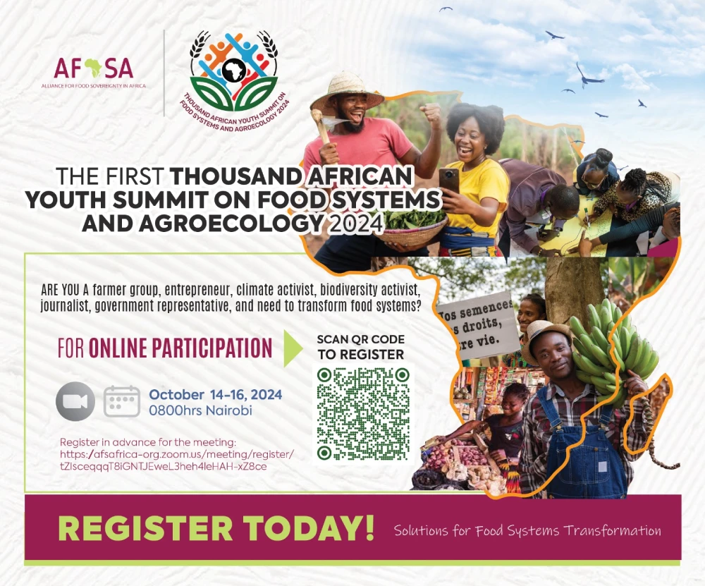 Youth Summit Virtual Participation call (1)